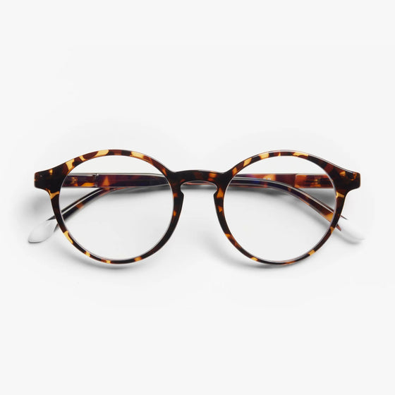 Tortoise Le Marais Glossy Glasses