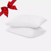 Eucalyptus Silk Pillow Cases - 2 Pack