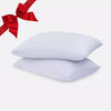 Eucalyptus Silk Pillow Cases - 2 Pack