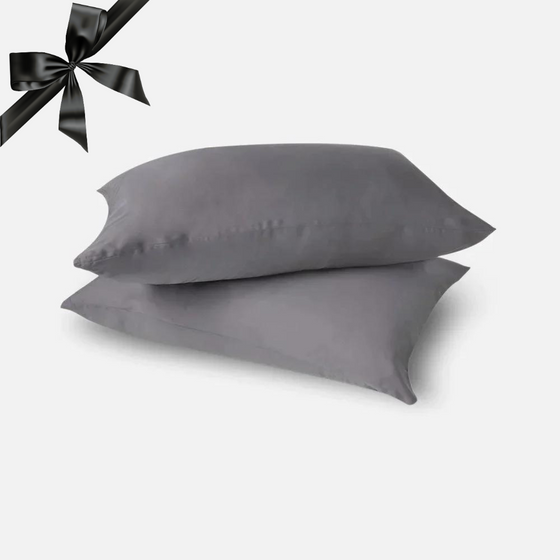 Eucalyptus Silk Pillow Cases - 2 Pack