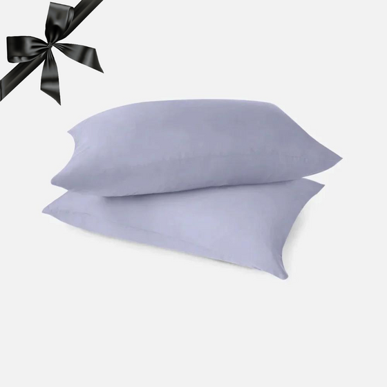 Eucalyptus Silk Pillow Cases - 2 Pack