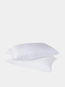  2 X Eucalyptus Silk Pillow Cases EU Aeyla