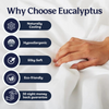 2 X Eucalyptus Silk Pillow Cases EU