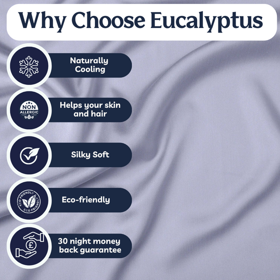 Eucalyptus Silk Sheet Set