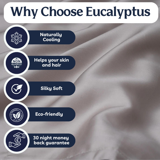 Eucalyptus Silk Sheet Set