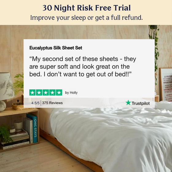 Eucalyptus Silk Sheet Set