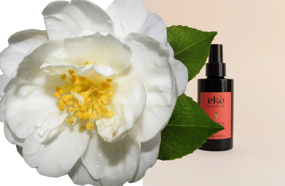 Cleansing Botanical Oil AMINA EKO BOTANICALS