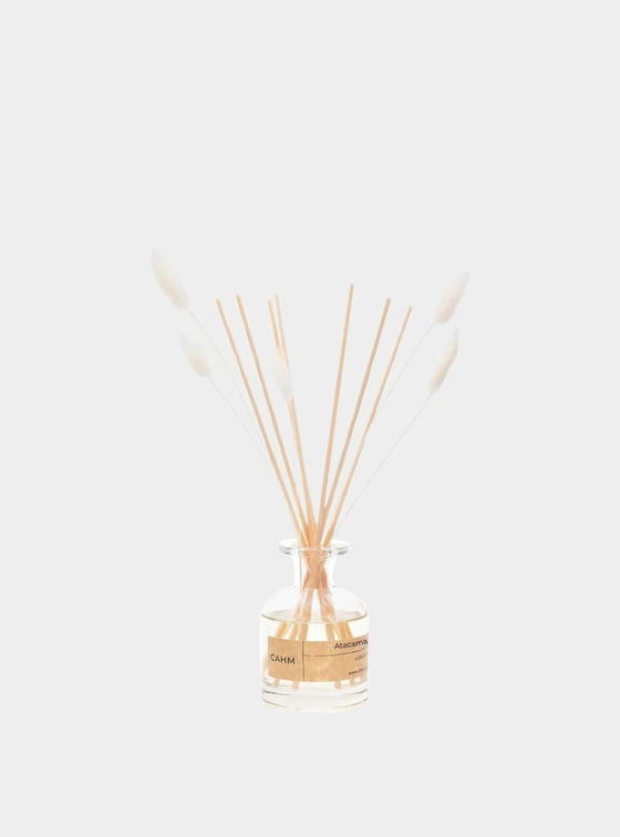 Atacama Reed Diffuser - Clear