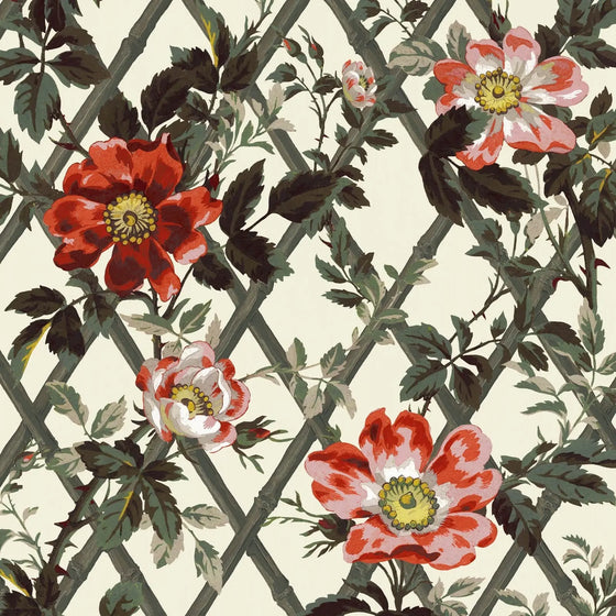 BRYHER ROSE Wallpaper - Cinnabar House of Hackney