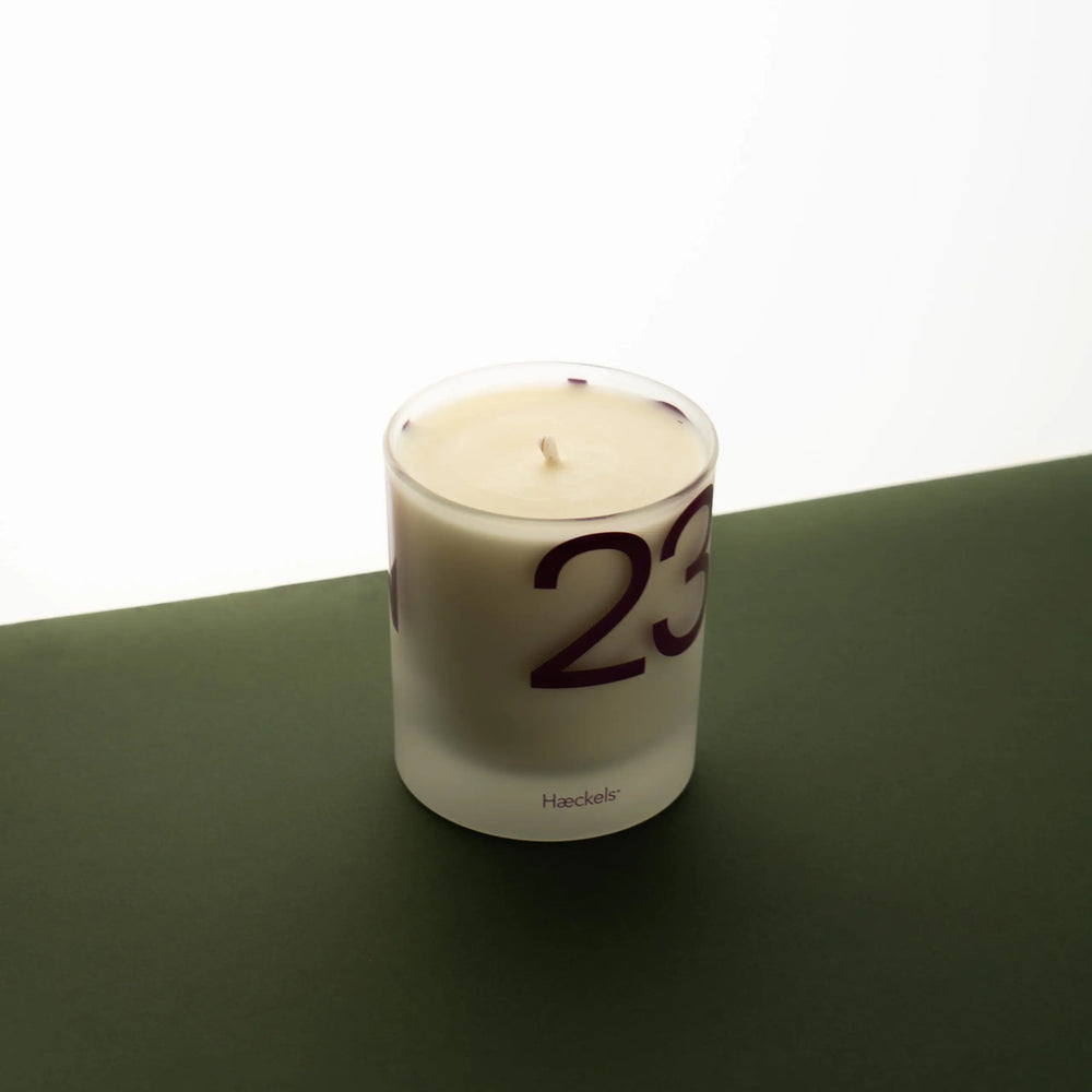 Beetroot Candle Haeckels