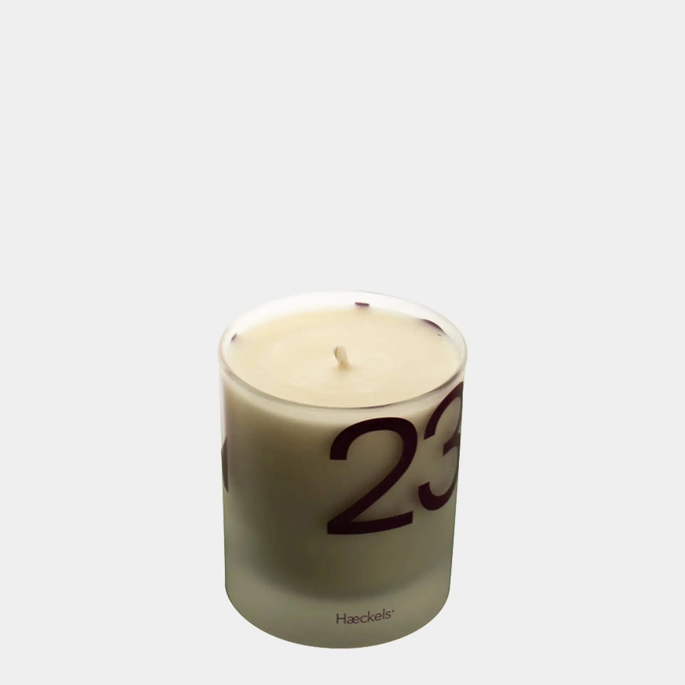 Beetroot Candle Haeckels