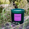 Big Sur 3 Wick Candle Lords Fragrance House