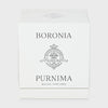 Boronia 190g Classic Candle Purnima