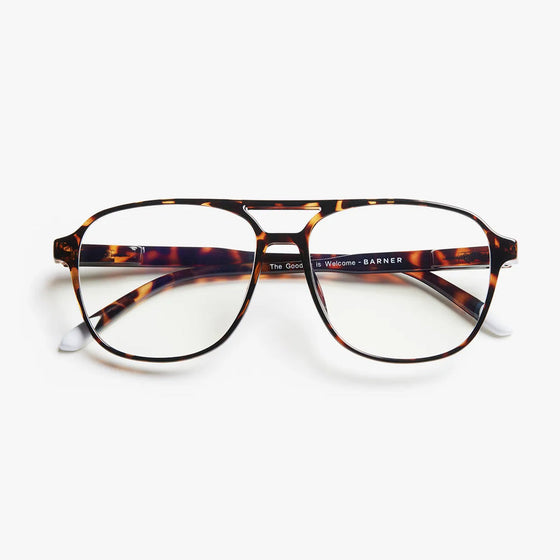 Tortoise Brad Glossy Glasses