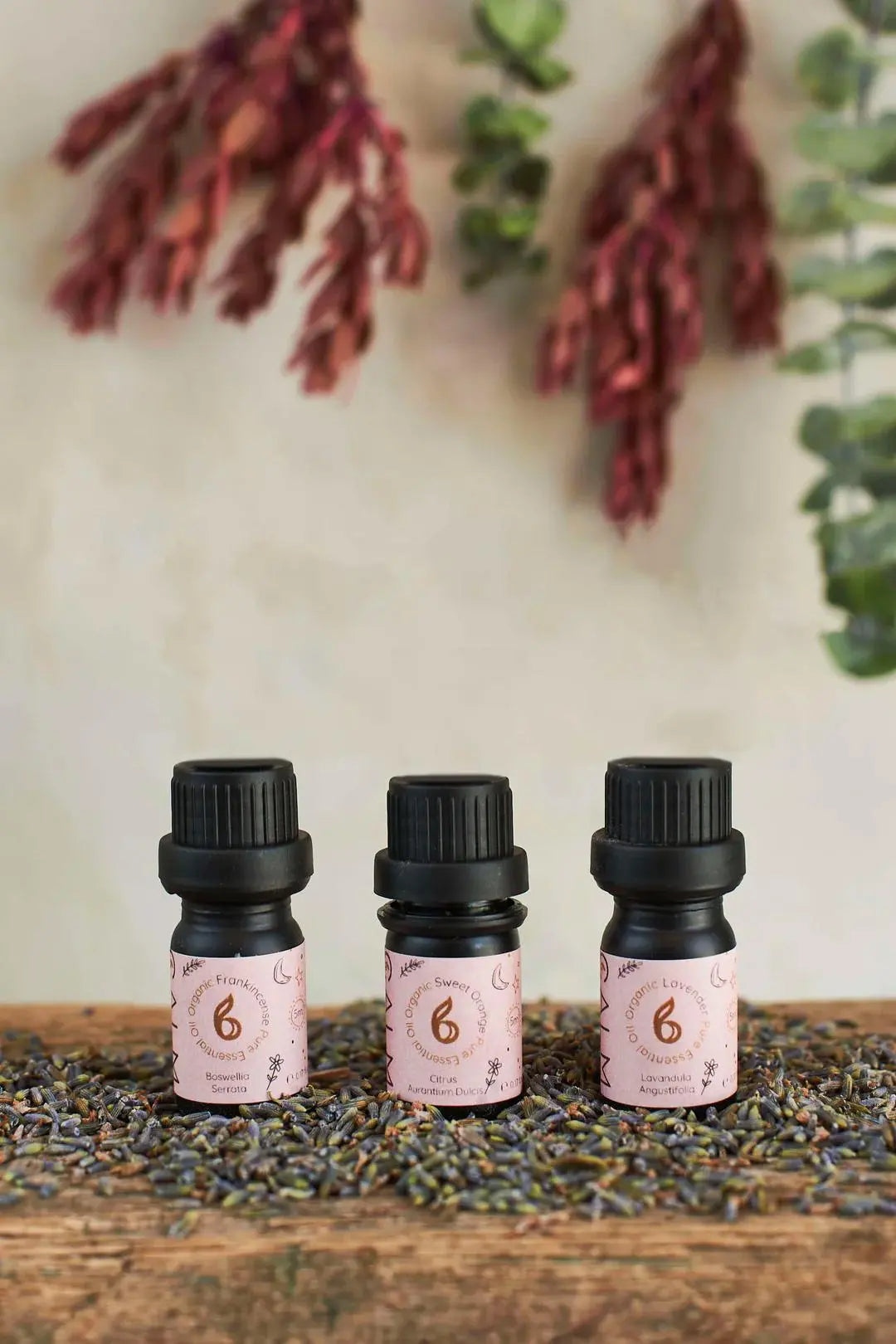 Breathe Calm Oil Set bcalm