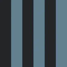  CAMELOT STRIPE Traditional Wallpaper - Sky and Noir House of Hackney