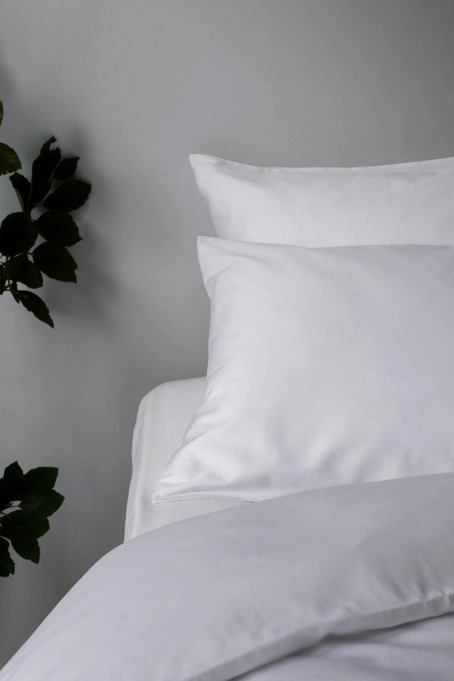 Classic Sateen Pillowcase (Pair) Goss & Genus