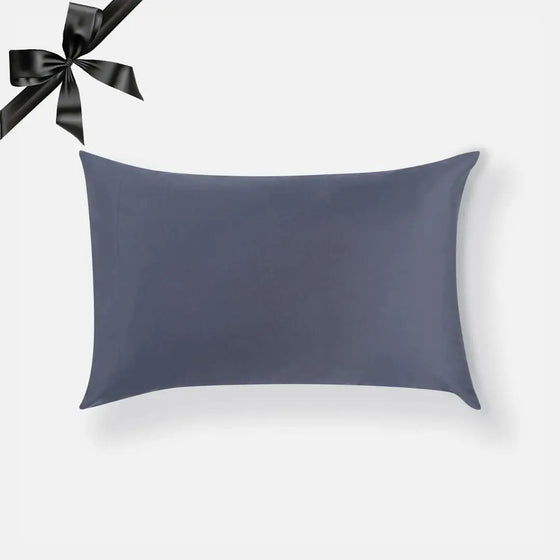 Clean Silver Pillowcase Aeyla