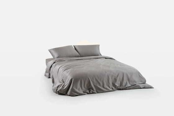 Clean Silver Sheet Set