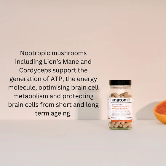 Cognitive Focus Supplement + Memory Support anatomē