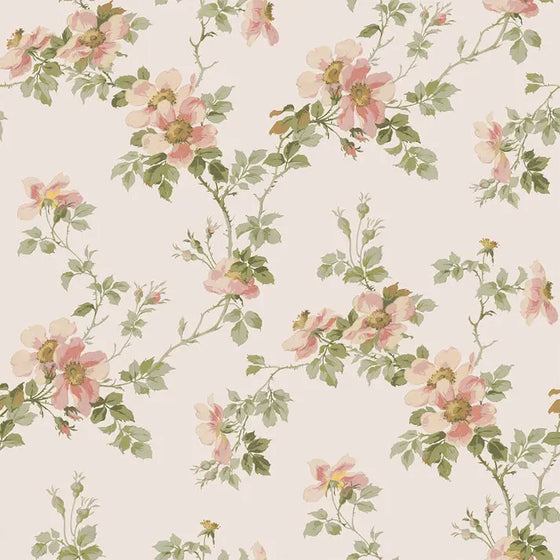 Cream Blush Field Rose Wallpaper Piglet