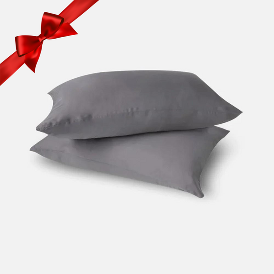 Eucalyptus Silk Pillow Cases - 2 Pack