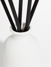 Eucalyptus Ceramic Reed Diffuser - 100ml Helm London