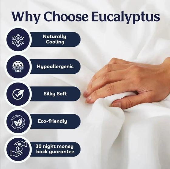 Eucalyptus Silk Pillowcases - 2 Pack Aeyla