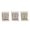 Discovery Candle Gift Set - Self Select Theta Naturals Co