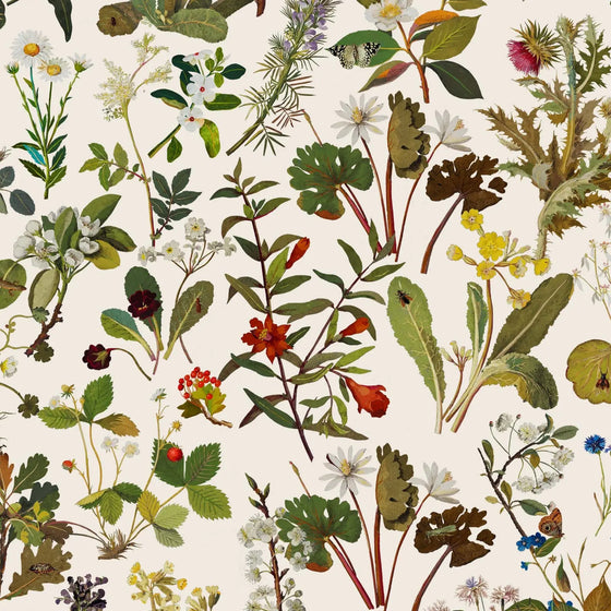 HERBARIUM Wallpaper - Ecru House of Hackney