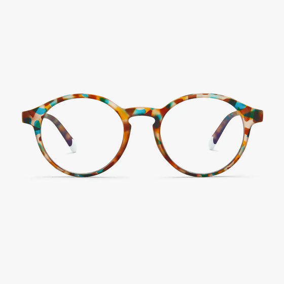 Light Tortoise Le Marais Glossy Glasses Barner