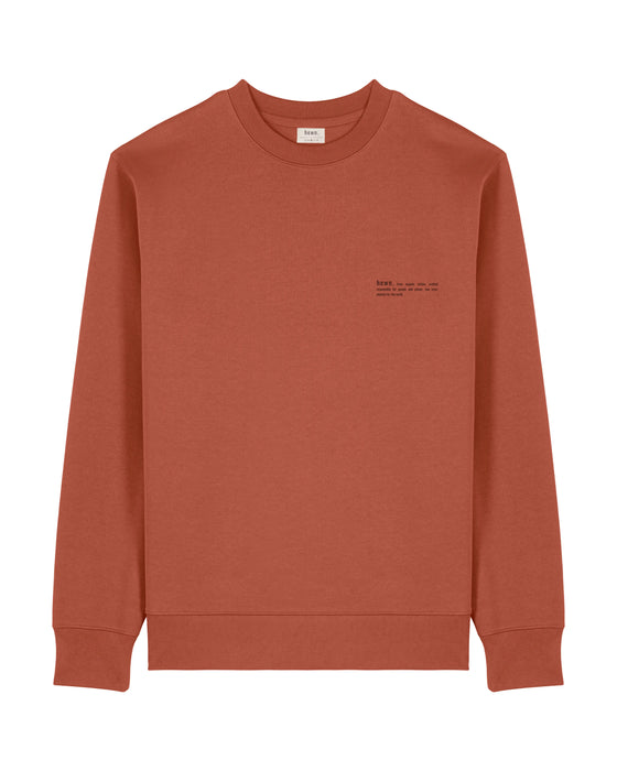 Mens Organic Cotton Relaxed-Fit Sweatshirt in Clay Brown hewn.