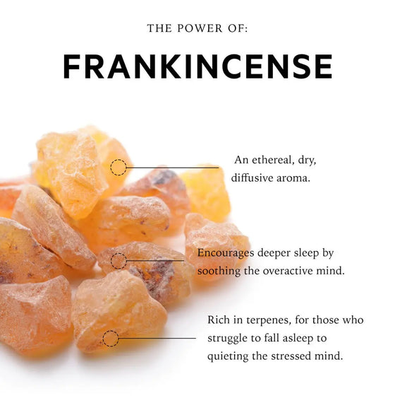 Overactive Mind Sensory Point Sleep Oil | Somali Frankincense anatomē