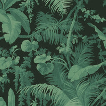  PAMPAS Wallpaper - Noir House of Hackney