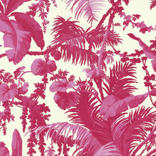  PAMPAS Wallpaper - Off White &amp; Azalea House of Hackney