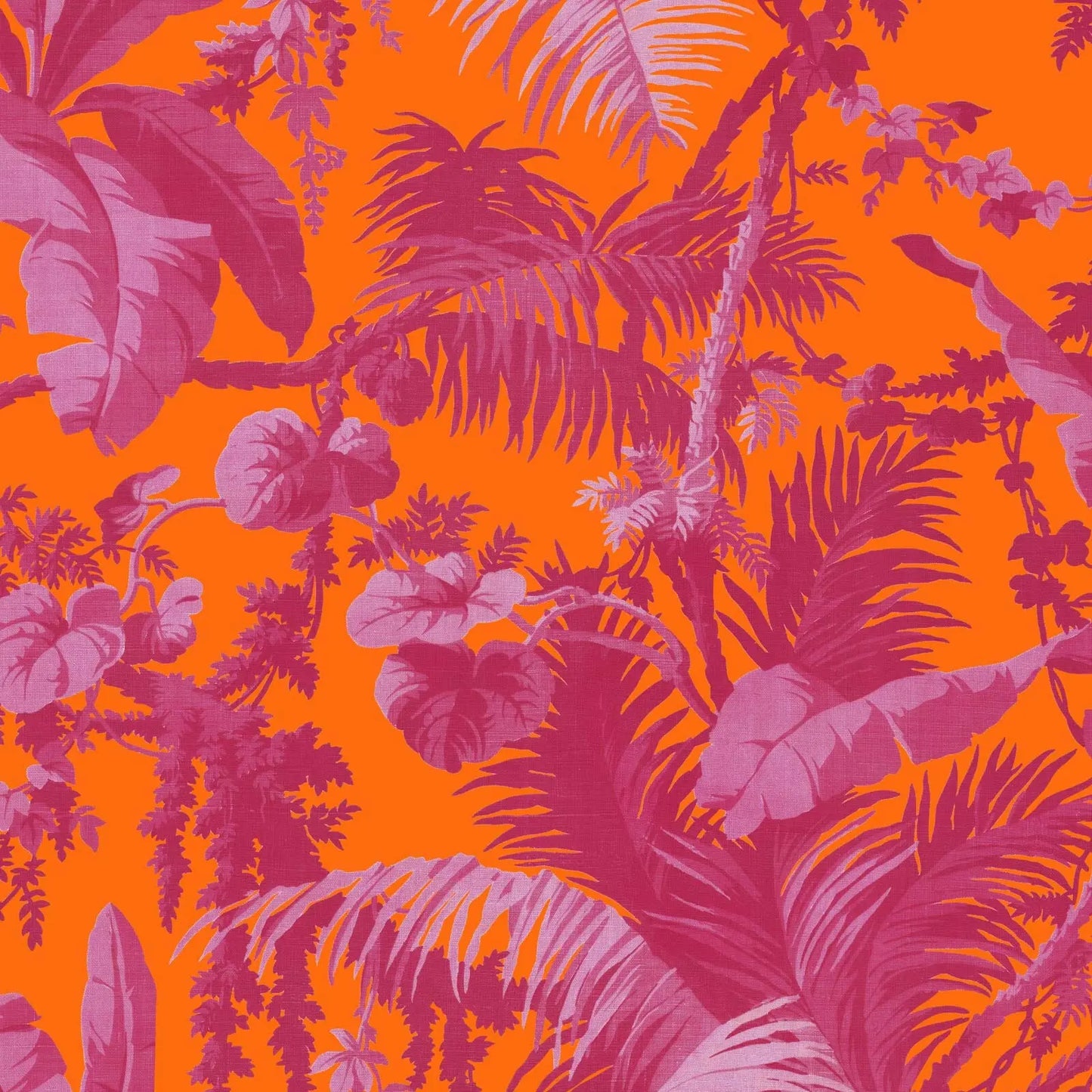 PAMPAS Wallpaper - Tangerine &amp; Azalea House of Hackney