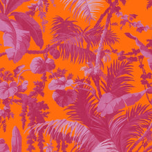  PAMPAS Wallpaper - Tangerine &amp; Azalea House of Hackney