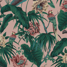  PARADISA Wallpaper - Tourmaline Pink House of Hackney