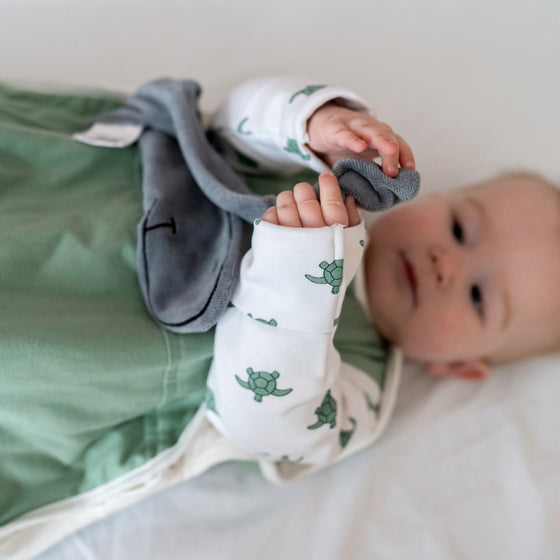 Winter Sleepsuit With Padded Sleeves (Pack of 2) - Turtle Pure Earth Collection