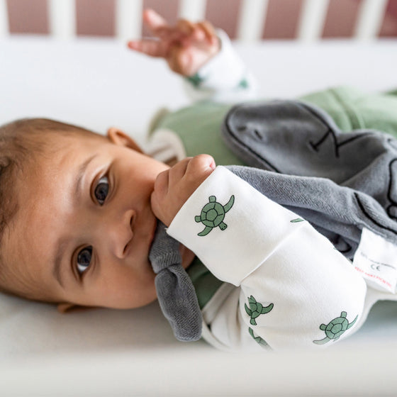 Winter Sleepsuit With Padded Sleeves (Pack of 2) - Turtle Pure Earth Collection