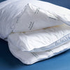 Pillow & Pillowcase Bundle