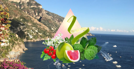 Positano Fragrance Oil Lords Fragrance House