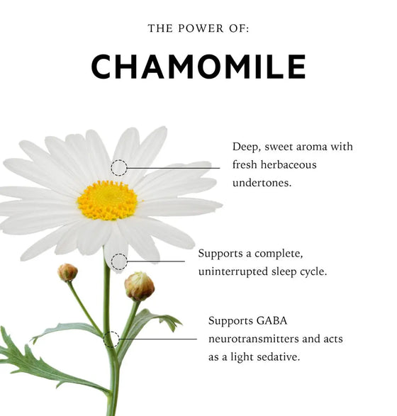 Roman Chamomile Pillow Spray anatomē