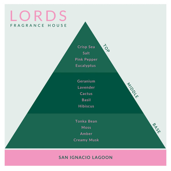 San Ignacio Lagoon Candle Lords Fragrance House