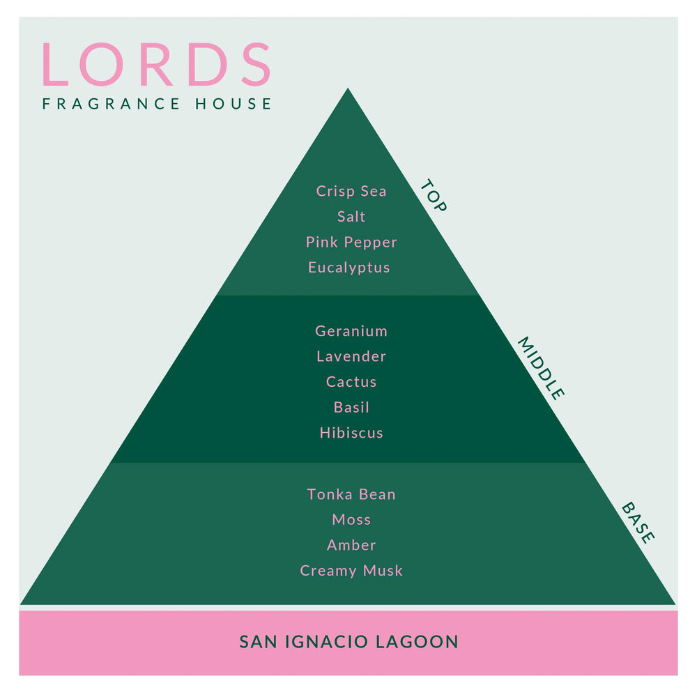 San Ignacio Lagoon Fragrance Oil Lords Fragrance House