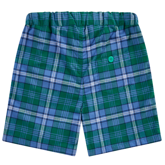 Green Sea Turtle Shorts