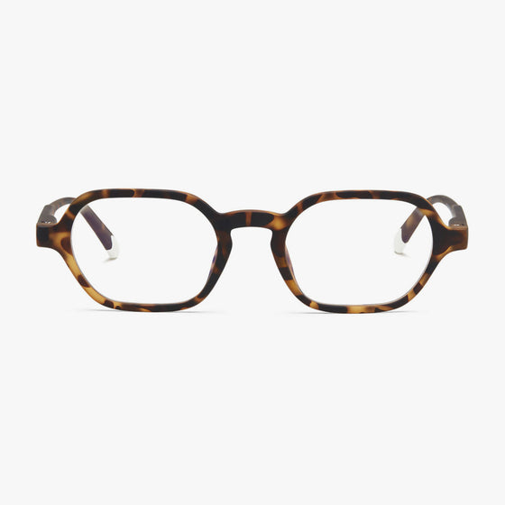 Tortoise Sodermalm Glasses