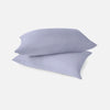 Eucalyptus Silk Pillow Cases - 2 Pack