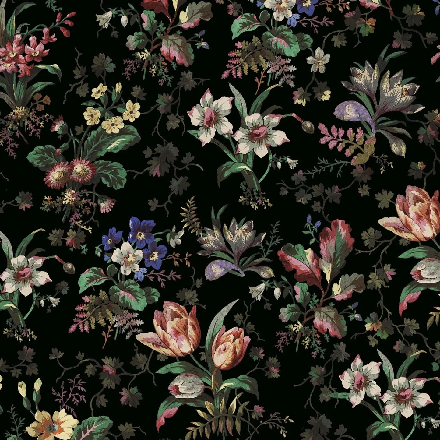 TULIPA Wallpaper - Onyx House of Hackney