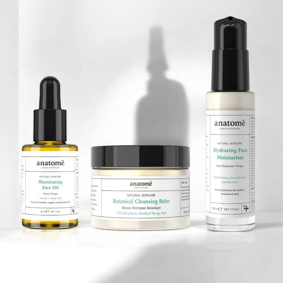 Travel Skincare Essentials anatomē